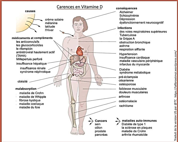 Vitamine D chez les Noirs : La vitamine D est produite par l'exposition au soleil. La peau est censée convertir la lumière du soleil en vitamine D à cause du 7-déhydrocholestérol (lipide dans le plasma sanguin converti en vitamine D3 dans la peau). La vitamine D (D2, D3) a de nombreux bienfaits sur l’humain tant au point de vue physiologique qu’émotionnel