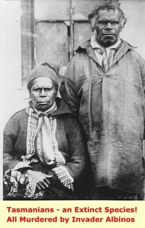 Tasmaniens: tous massacrés par les envahisseurs albinos
