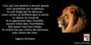 Sagesse  africaine