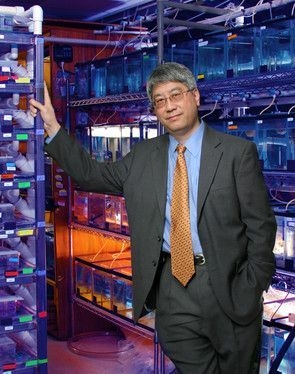 Keith Cheng généticien à l'école de médecine de Pennsylvanie, a identifié le gène de l'albinisme OCA2 en 2005