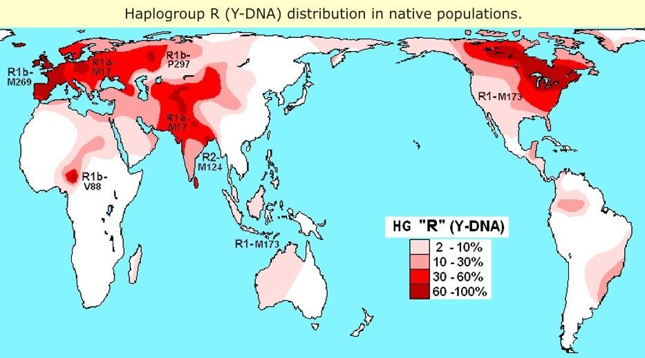 Haplogroupe R. Les Européens appartiennent surtout à l'haplogroupe R (origine sud de l'Inde)